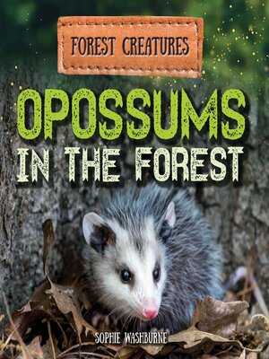 cover image of Opossums in the Forest